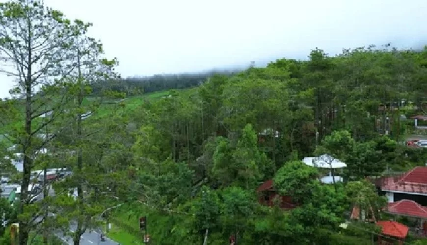Green Valley Bandungan